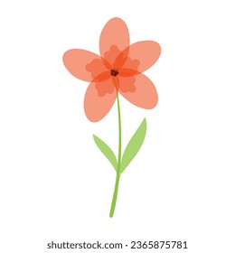 Delicate beautiful flower. Red chamomile on a white background. Cute wild flower. Vector illustration.