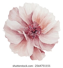 Delicate beige peony flower illustration with soft, layered petals. Perfect for adding elegance and sophistication to design projects, decor, and stationery. High-quality and beautifully detailed.