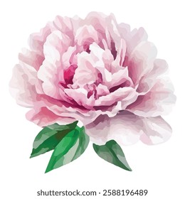 Delicate beige peony flower illustration with soft, layered petals. Perfect for adding elegance and sophistication to design projects, decor, and stationery. High-quality and beautifully detailed.