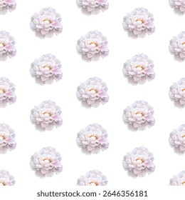 Delicado bege peônia flor ilustração com pétalas macias, camadas. Perfeito para adicionar elegância e sofisticação a projetos de design, decoração e artigos de papelaria. Alta qualidade e maravilhosamente detalhado.