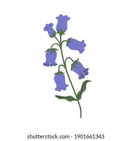 Flor de timbre delgada aislada en un fondo blanco. Grandiosa campanilla de primavera. Elegante elemento botánico floral. Ilustración de vector plana colorida aislada en fondo blanco