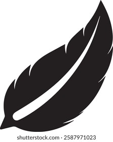 A delicate black feather, symbolizing lightness, freedom, and sometimes writing or creativity