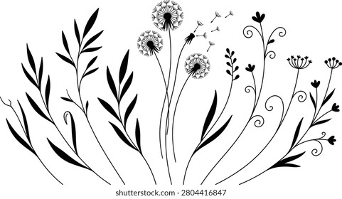Delicate black silhouettes of wild meadow flowers, flowing grass, and blowing dandelions isolated on a white background, ideal for spring themes.