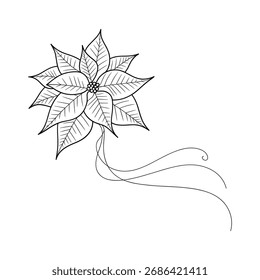 A delicate black and white line drawing of a poinsettia with a whimsical ribbon.