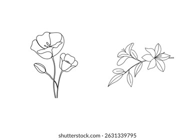 Delicados desenhos de linhas pretas e brancas de elementos florais de papoula e lírio