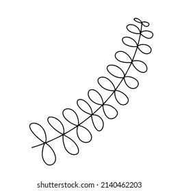 Delicate black and white sketch of leaf. Vector illustration in hand drawn style.