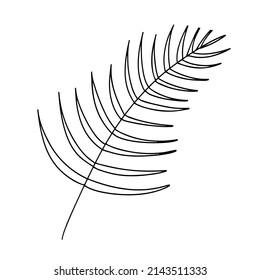 Delicate black and white sketch of leaf. Vector illustration in hand drawn style.