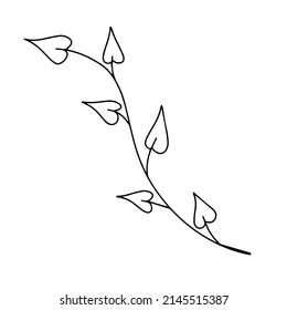 Delicate black and white sketch of leaf. Vector illustration in hand drawn style.