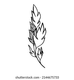 Delicate black and white sketch of leaves. Vector illustration in hand drawn style.