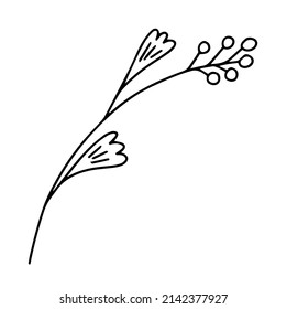 Delicate black and white sketch of a spring flower. Vector illustration in hand drawn style.