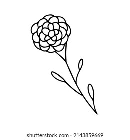Delicate black and white sketch of a spring flower. Vector illustration in hand drawn style.