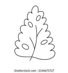Delicate black and white sketch of a spring flower. Vector illustration in hand drawn style.