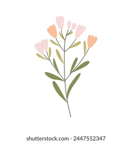 Delicate bloom wild flowers on a twig. Adorable flower clip art.  Elegant cut flowers. Spring summer decorative botanical bundle. Beautiful delicate fluffy blooms, blossomed herb, gentle wildflower.