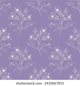 Delicate blooming branch Clematis vector seamless pattern, linear flowers beige on violet. Hand drawn elements. Delicate floral background for design packaging , textile, wallpaper, fabric, paper
