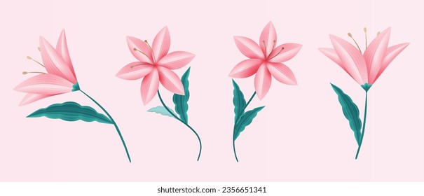Delicate blooming lily flower elements isolated on light pink background.