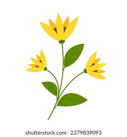 Delicate blooming yellow flowers. Floral flat vector illustration isolated on white background.