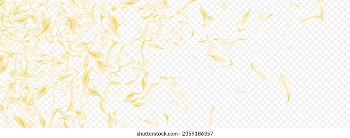 Delicate Blossom Beauty Vector Panoramic Transparent Background. Beige Tender Flower Illustration. Gold Floral Flying Pattern. Yellow Cherry Japan Design. Spring Rose Texture.