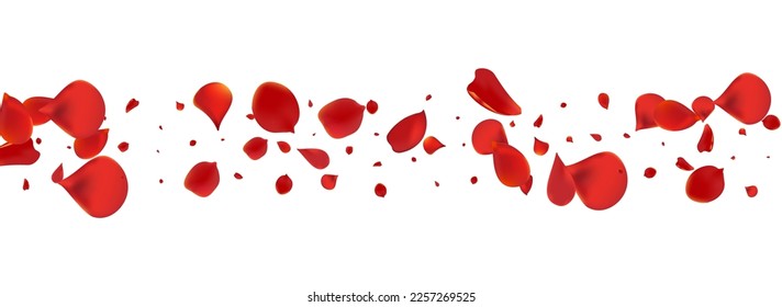 Delicate Blossom Blur Vector Panoramic White Background. Beauty Petal Illustration. Red Floral Japan Template. Beautiful Cherry Fall Frame.