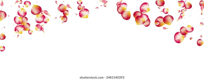 Delicate Blossom Blur Vector Panoramic White Background. Flying Peach Poster. Pink Floral Fly Design. Beautiful Sakura Japan Template.