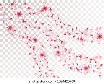 Delicate blossom elements, apple or japanese sakura petals flying and flowers falling vector illustration. Isolated petals and pink flower vector elements flying, bloom confetti scatter on transparent