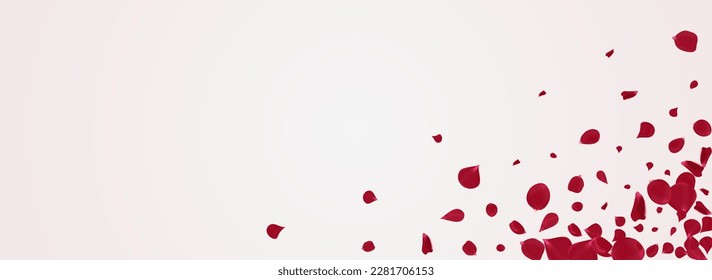 Delicate Blossom Fly Vector Panoramic White Background. Spring Sakura Design. Beautiful Peach Summer Cover. Red Lotus Japanese Texture.