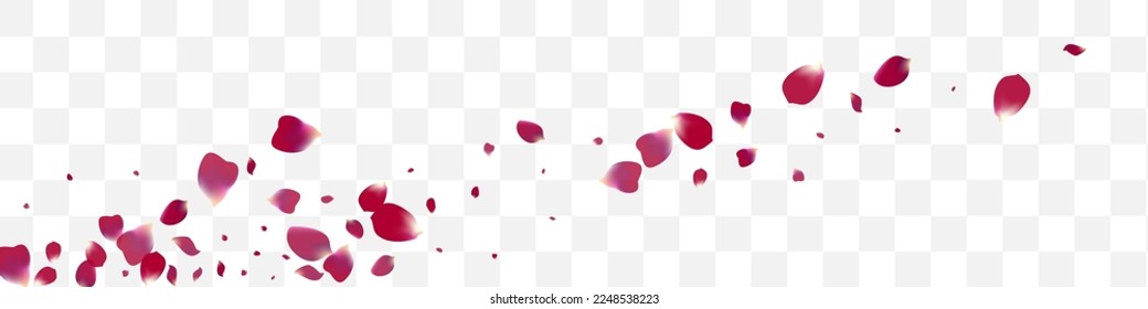 Delicate Blossom Flying Vector Transparent Panoramic Background. Japan Rose Backdrop. Beautiful Peach Tender Pattern. Purple Lotus Beauty Texture.