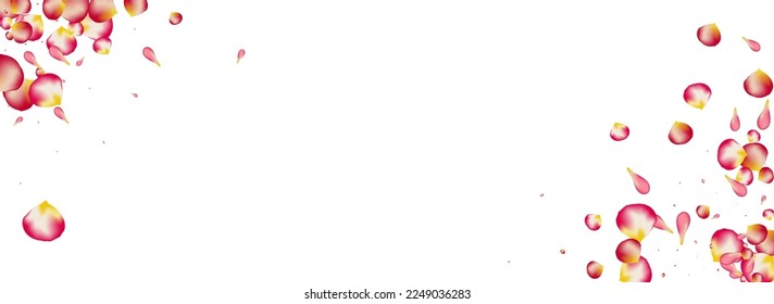Delicate Blossom Japanese Vector Panoramic White Background. Summer Rose Illustration. Pink Cherry Beauty Poster. Red Lotus Fly Backdrop.