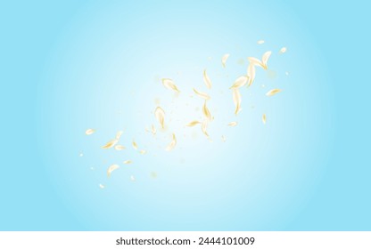 Delicate Blossom Spring Vector Blue Background. Beige Falling Lotus Texture. Yellow Petal Blur Pattern. White Cherry Japan Wallpaper. Fly Peach Template.