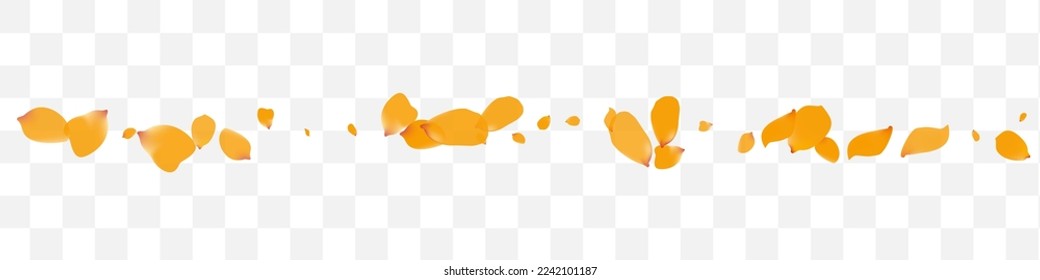 Delicate Blossom Spring Vector Transparent Panoramic Background. Fly Rose Banner. Beautiful Tulip Beauty Design. Lemon Floral Falling Cover.