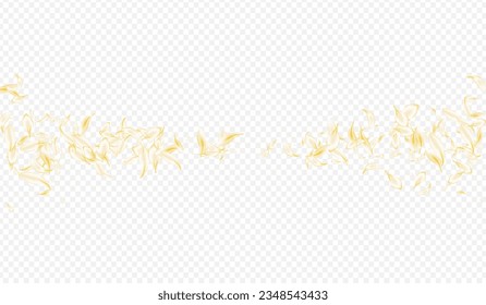 Delicate Blossom Spring Vector Transparent Background. Yellow Japan Lotus Banner. White Sakura Fall Frame. Light Cherry Blur Template. Falling Flower Design.