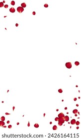 Delicate Blossom Spring Vector White Background. Japan Cherry Pattern. Pink Peach Summer Template. Red Sakura Beauty Texture.