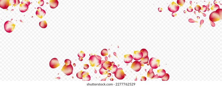 Feiner Blossom Sommervektor Panorama-transparenter Hintergrund. unscharfe Kirschvorlage. Schönes Blumenzauberbanner. Pink Sakura Falling Poster.