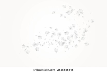 Delicate Blossom Vector Light Background. Snowy Fly Rose Pattern. Summer Cherry Banner. White Floral Japan Frame.