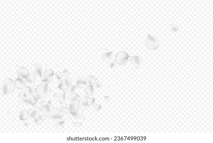 Delicate Blossom Vector Transparent Background. Pastel Summer Cherry Design. Falling Petal Cover. Snowy Flower Fly Pattern.