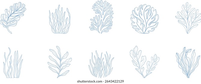 Delicate blue seaweed botanical line art set featuring ocean-inspired marine plant elements. Ideal for coastal  packaging, underwater illustrations, and minimalist sea-themed designs.