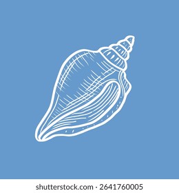 Delicate boho-style seashell line drawing on blue background for modern beach-themed interiors or DIY design projects.
