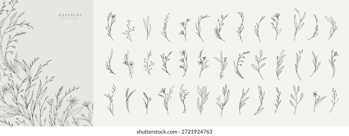 Delicate botanical minimalistic branches with flowers and leaves. Set of floral design elements. Vector illustration for invitation, save the date card.