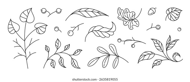 Delicate botanical vector collection with hand-drawn leaves and berries in outline style. Ideal for wedding stationery, organic branding, and soft floral design.
