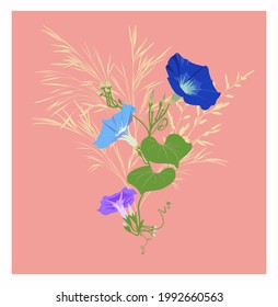 Delicate bouquet of bindweed and forest herbs on a pink background