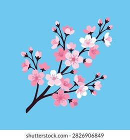 A delicate branch of blooming pink cherry blossoms in spring