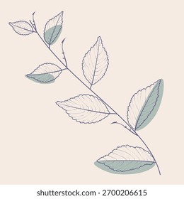 Delicate branch with leaves vector art