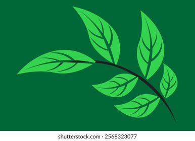 delicate branch on a green background