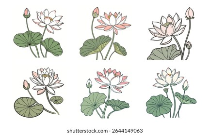 Um pacote delicado de 6 flores com pétalas folhas e botões em um fundo branco