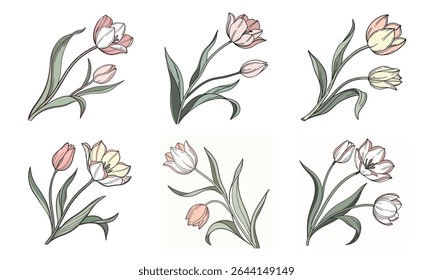 A delicate bundle of six floral tulip illustrations with hand drawn artistic style