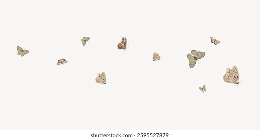 Delicate butterflies in flight. Butterflies with intricate patterns. Graceful butterflies on a white background. Butterflies showcasing natural beauty. Isolated vector illustration.