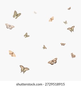 Delicate butterflies in flight, showcasing various sizes and patterns. Butterflies on a white background, emphasizing their graceful and delicate nature. Butterfly illustration vector.