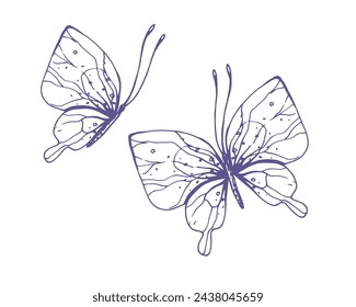 Mariposas delicadas con patrones en las alas, simple, dulce, ligero, romántico. Ilustración dibujada a mano en tinta lila en estilo de línea. Conjunto de objetos vectoriales EPS aislados