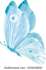 Delicate butterfly with patterned blue wings. Flying moth