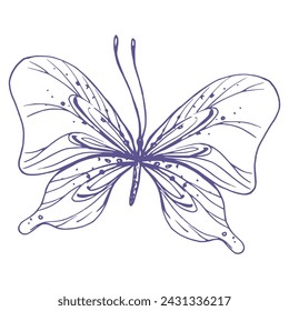 Delicate butterfly with patterns on the wings, simple, sweet, light, romantic. Illustration graphically hand-drawn in lilac ink in line style. Isolated EPS vector object