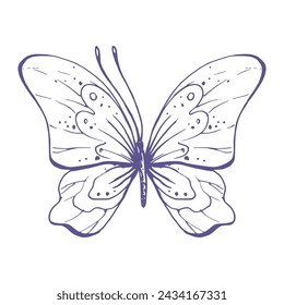 Delicate butterfly with patterns on the wings, simple, sweet, light, romantic. Illustration graphically hand-drawn in lilac ink in line style. Isolated EPS vector object